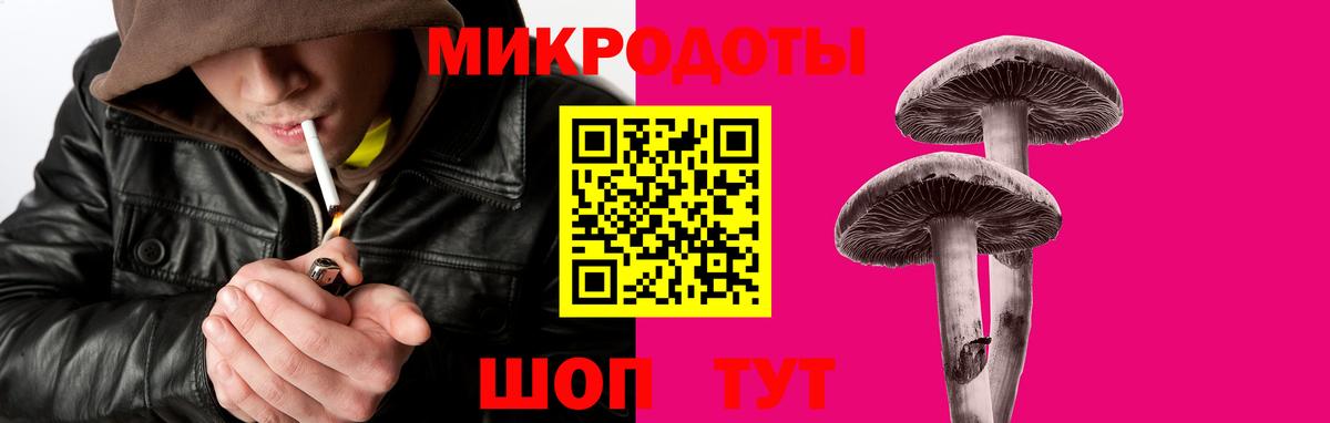 сколько стоит  Вход с VPN  Нижневартовск  Псилоцибиновые грибы мицелий 